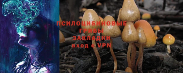 соль курить ск Армянск