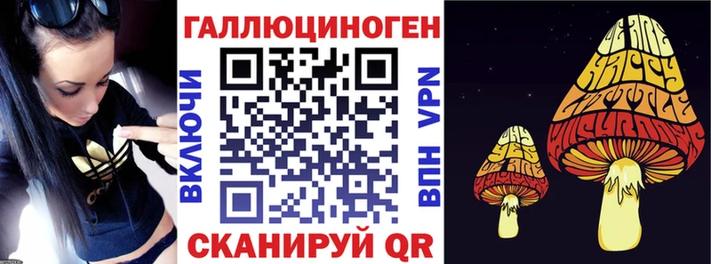 как найти наркотики  Валдай  Галлюциногенные грибы мицелий 