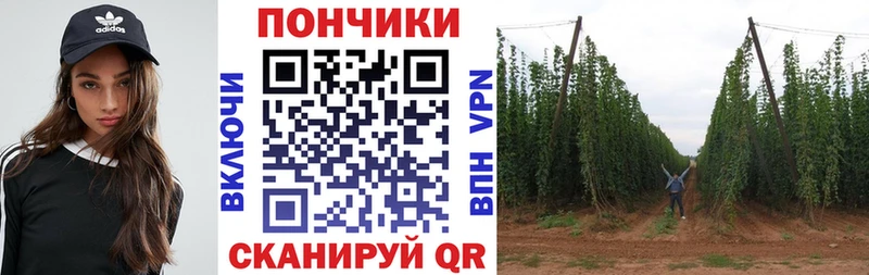 Каннабис индика  Валдай 